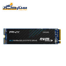 حافظه SSD پی ان وای مدل PNY CS1030 M.2 2280 Nvme ظرفیت 250 گیگابایت